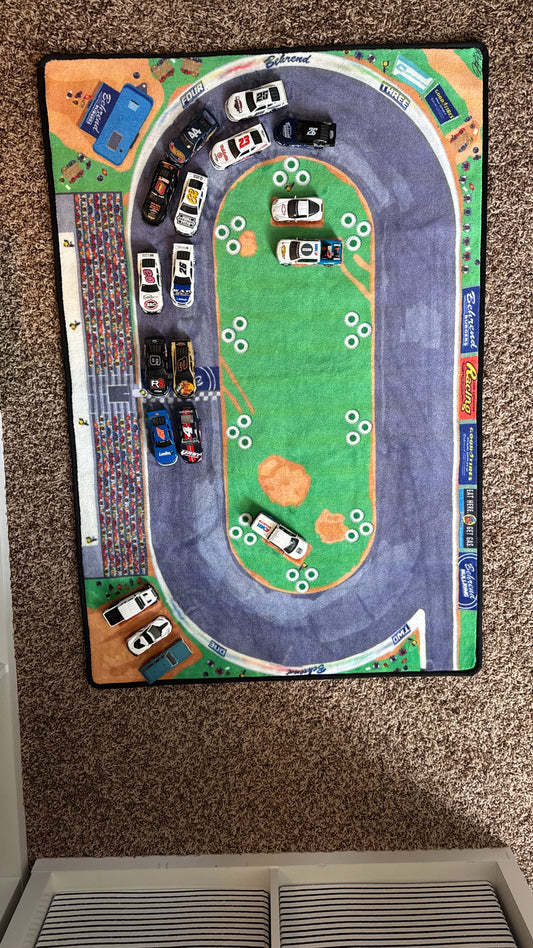 Top view of bullring rug